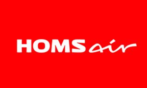 ремонт духовок Homsair